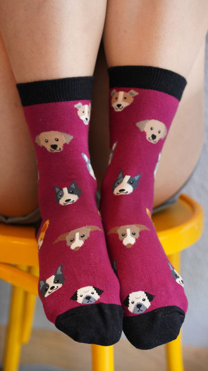 Women's Cute Dogs Socks Set