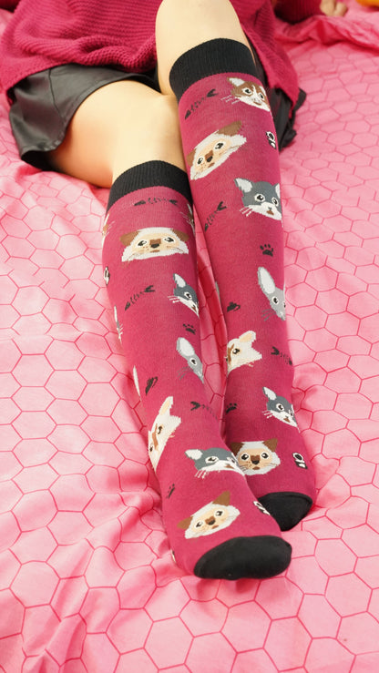 Women's Cute Cats Knee High Socks