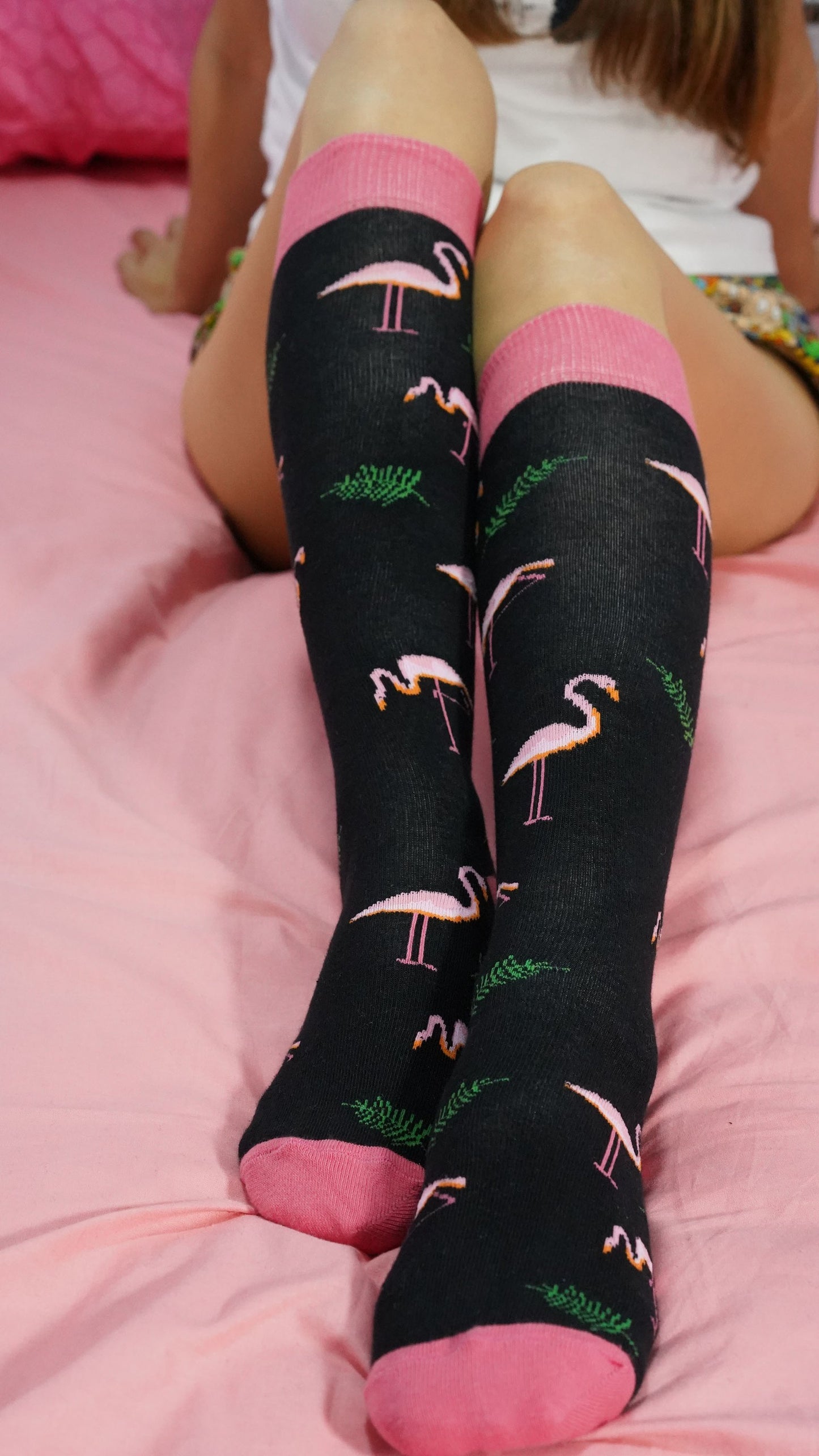 Women's Animal Planet Knee High Socks Set