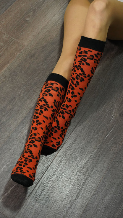 Women's Animal Kingdom Knee High Socks Set