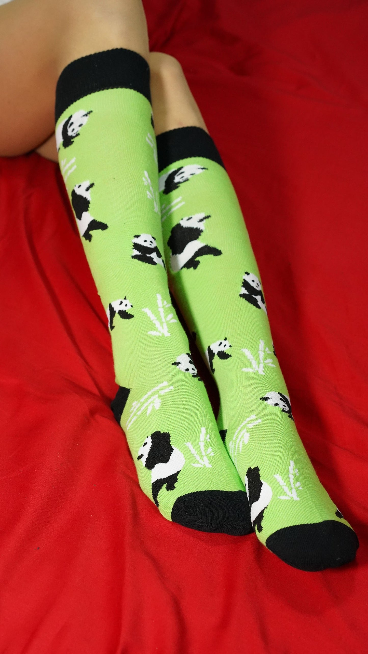 Women's Silly Panda Knee High Socks